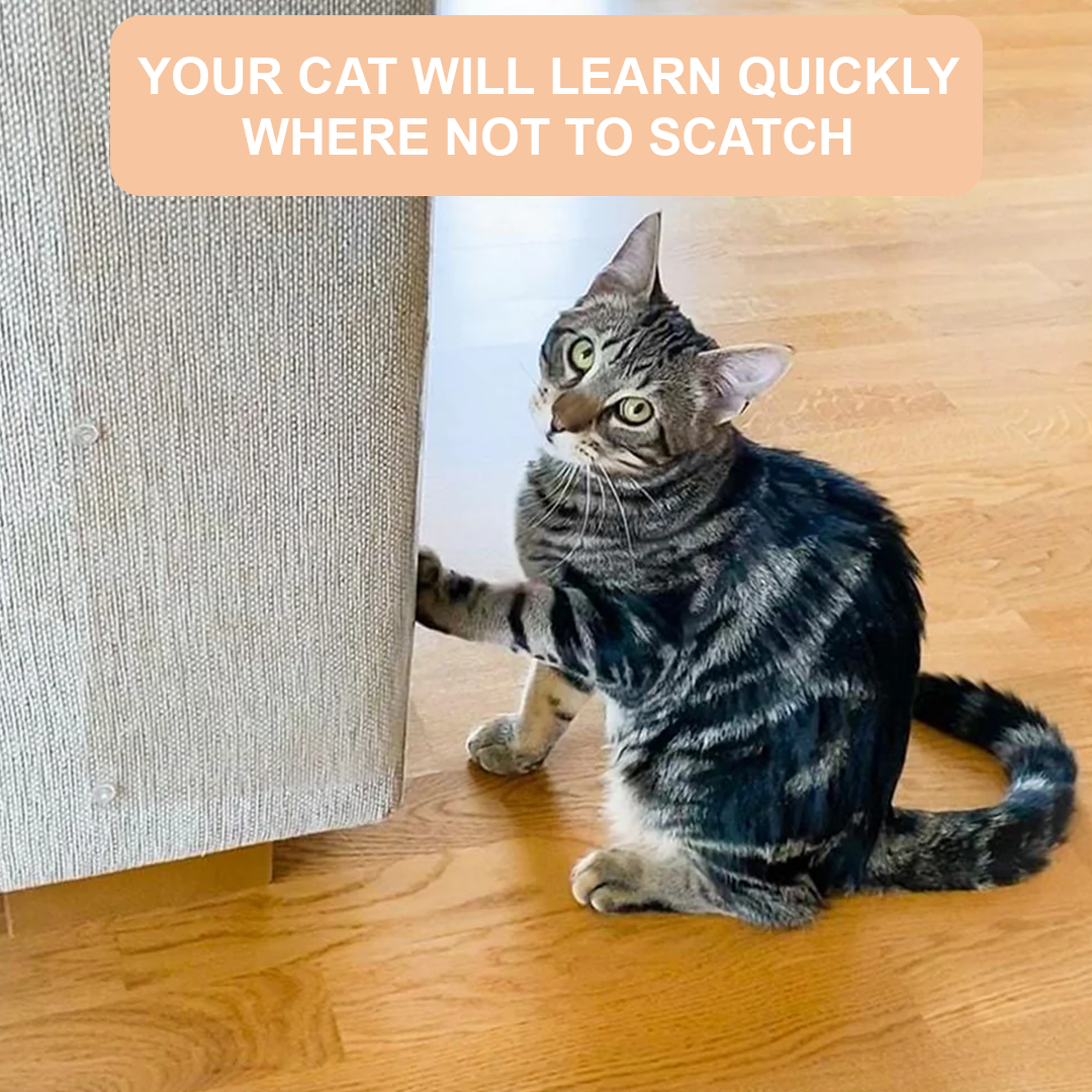 Cat Scratch Furniture Protector